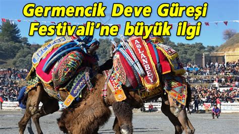 Aydın Germencik Deve Kültür Sanat Ve Deve Güreşi Festivali