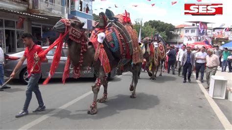 Aydın Koçarlı Çam Fıstığı (Künar) Festivali