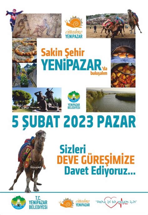 Aydın Yenipazar Deve Güreşi Festivali