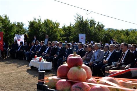 Bilecik Nar Festivali