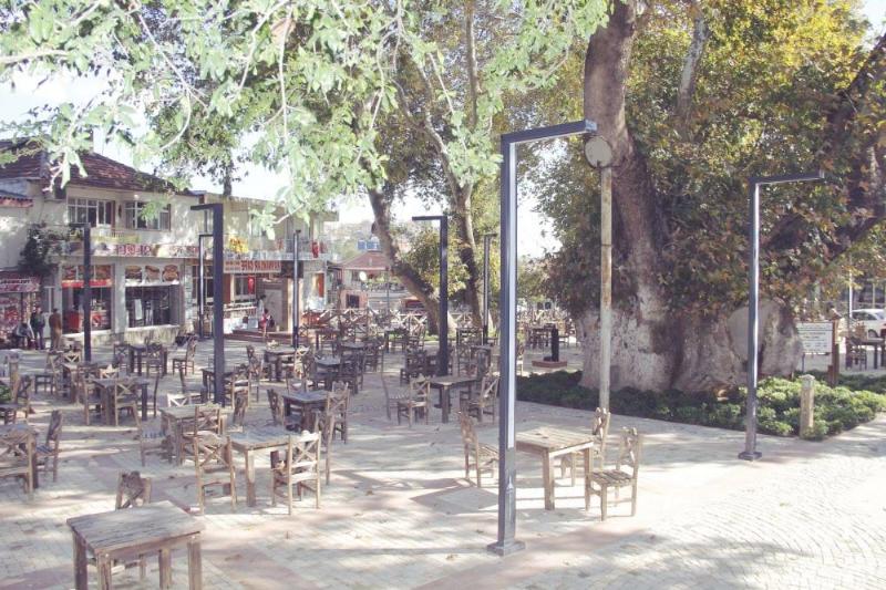Bin Yıllık Tarihi Çınarlar – İzmir