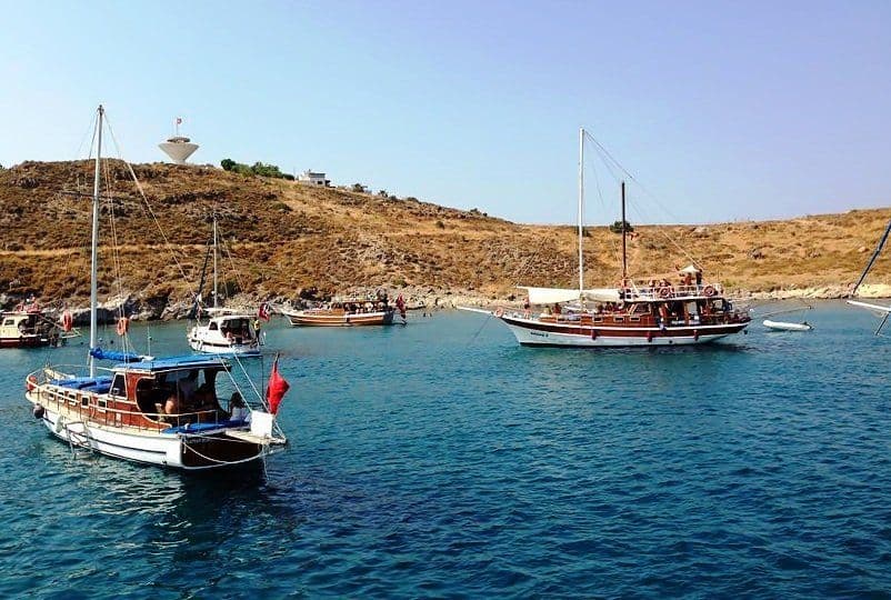 Bodrum Bağla 2