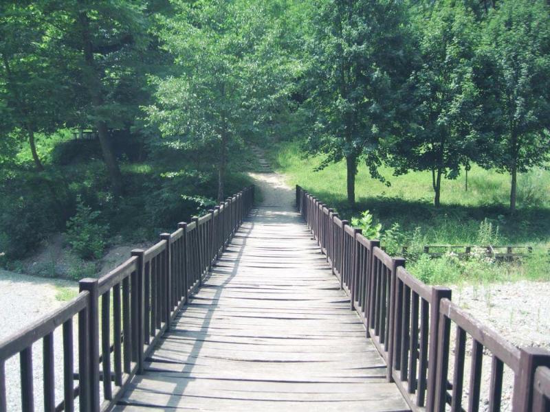 Bostandüzü Ormaniçi Dinlenme Alanı – Zonguldak