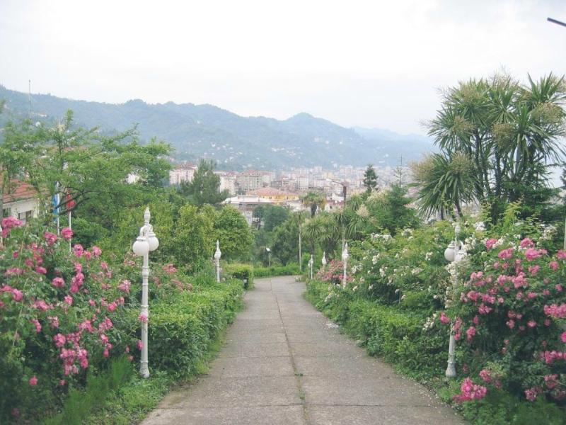 Botanik (Ziraat) Çay Bahçesi – Rize