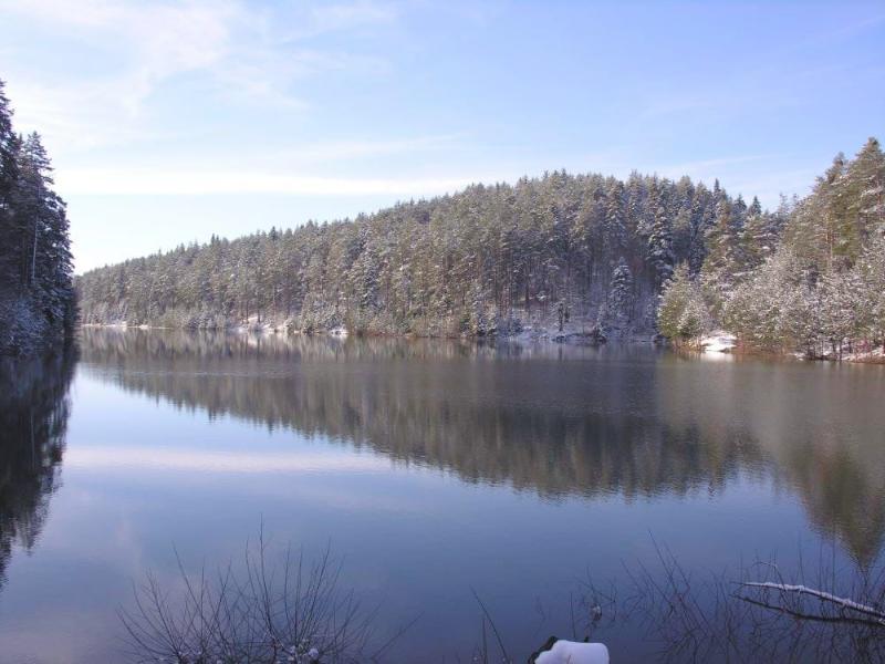 Bozcaarmut Göleti – Bilecik