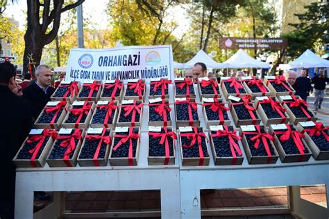 Bursa Orhangazi Zeytin Festivali