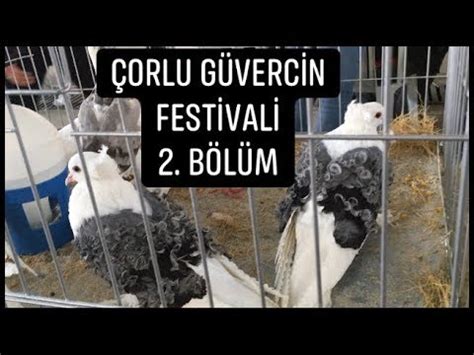 Çanakkale Güvercin Festivali