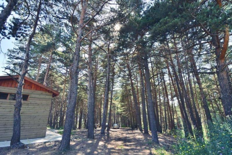Çatak Tabiat Parkı – Çorum