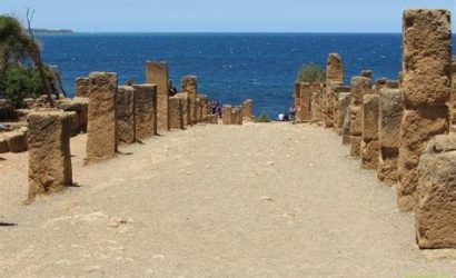 Cezayir Rehberi