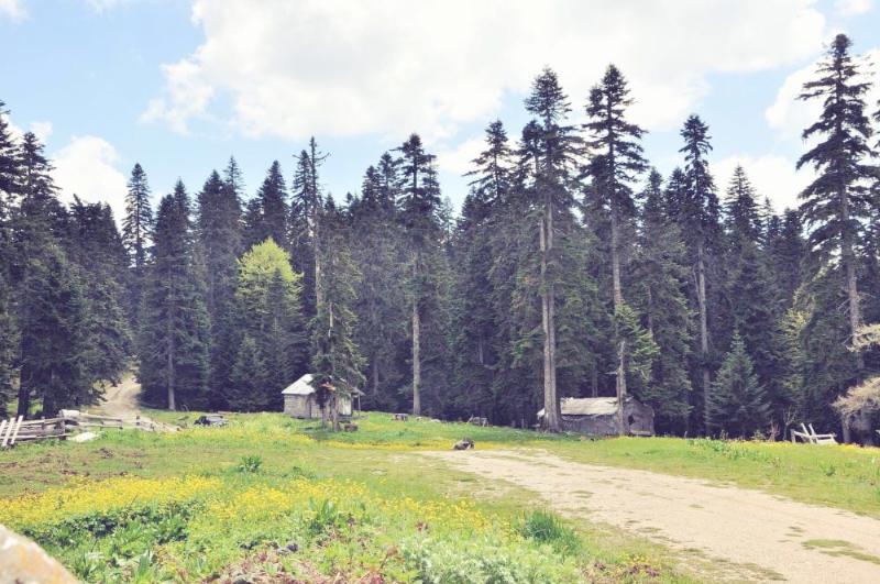 Çiçekli Yaylası – Düzce