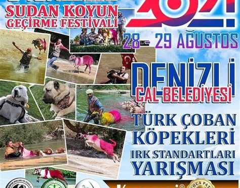 Denizli Sudan Koyun Atlatma Festivali