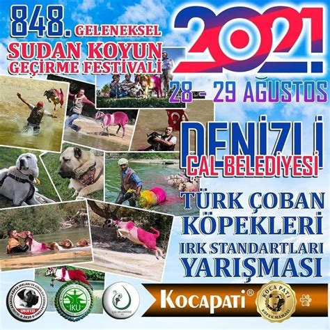 Denizli Sudan Koyun Atlatma Festivali