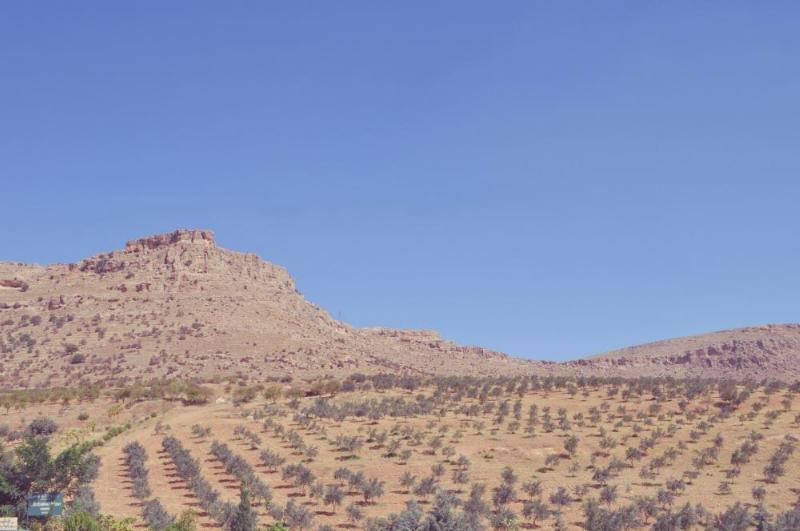 Deyrulzafaran Manastırı – Mardin