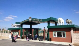 eskisehir hayvanat bahçesi