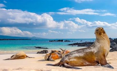 Galapagos Adaları