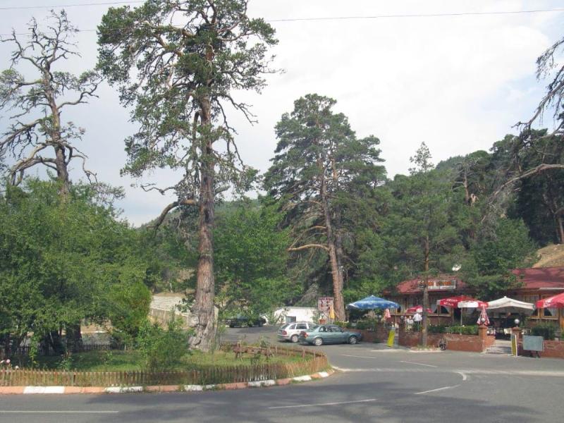 Gerede Esentepe Mesire Alanı – Bolu