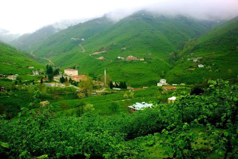 giresun-pasa-konagi-yaylasi