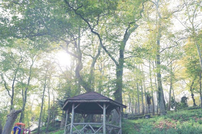 Giresun Kalesi – Giresun