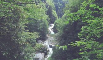 gurcuduzu_yaylasi___rize.jpg