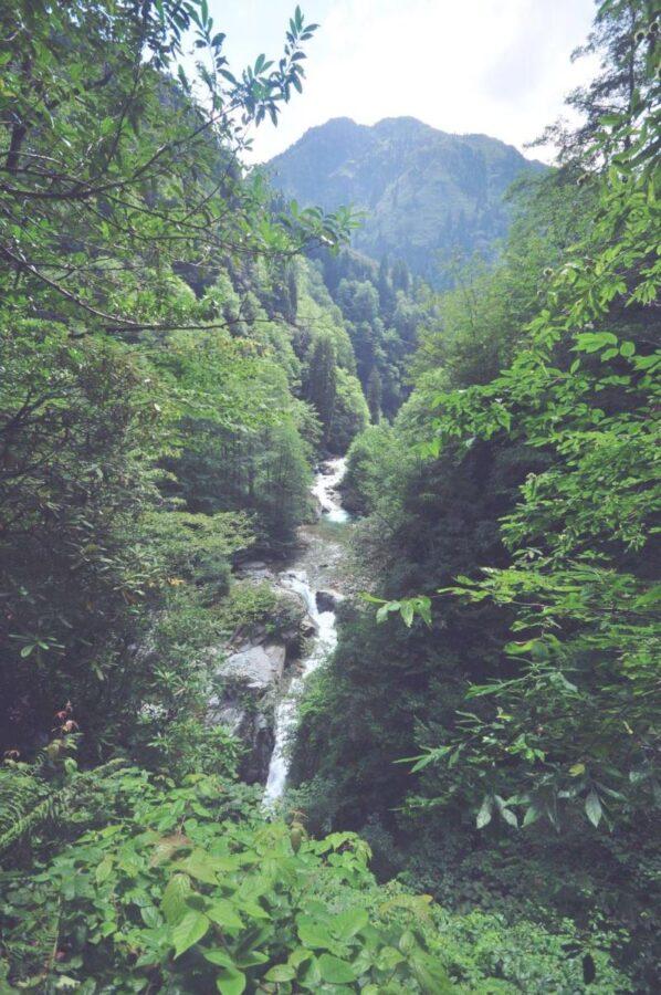 Gürcüdüzü Yaylası – Rize