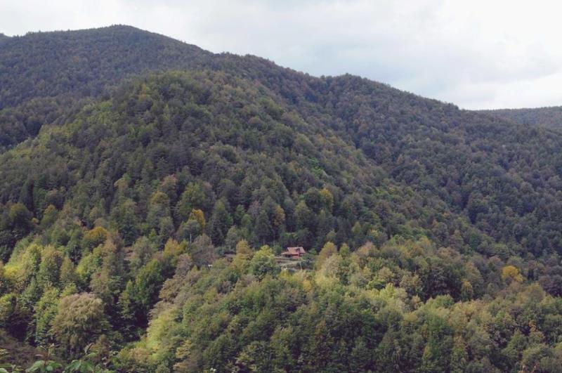 Güzeldere Şelalesi Tabiat Parkı – Düzce