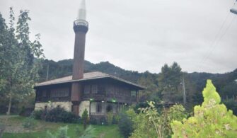 hemsin_koyu_camii___duzce.jpg