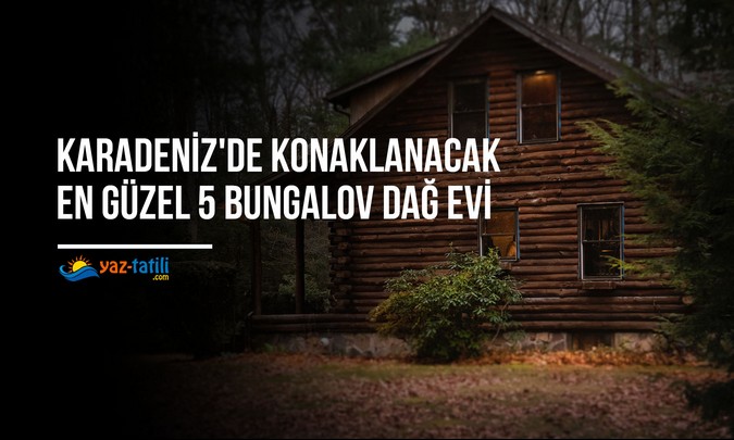 Karadeniz'de Konaklanacak En Güzel 5 Bungalov Dağ Evi