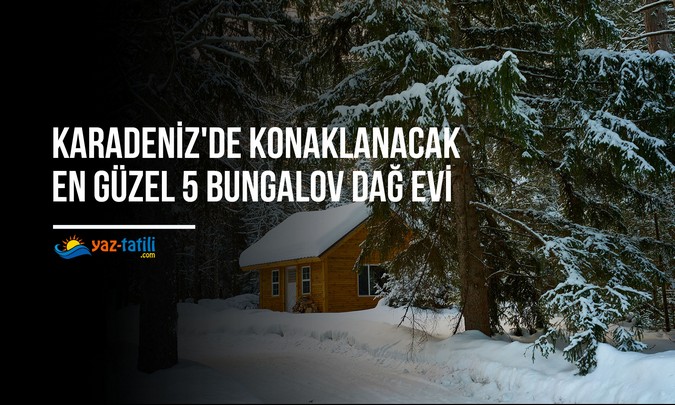 Karadeniz'de Konaklanacak En Güzel 5 Bungalov Dağ Evi