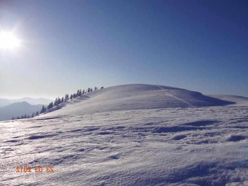 Kardüz Yaylası – Düzce