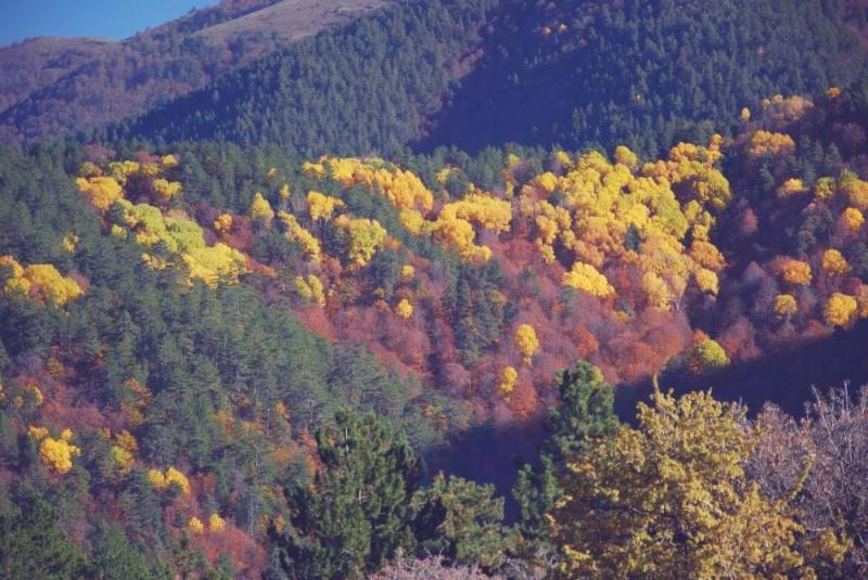 Kargı Yaylası  – Çorum