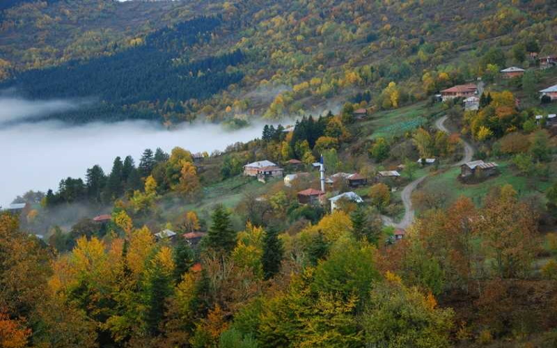 Küre Dağları Milli Parkı Kastamonu