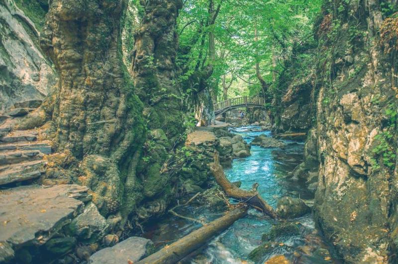 Kaz Dağı (İda Dağı) – Çanakkale