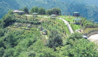 kibledagi_mesire_yeri_ve_kent_ormani___rize.jpg