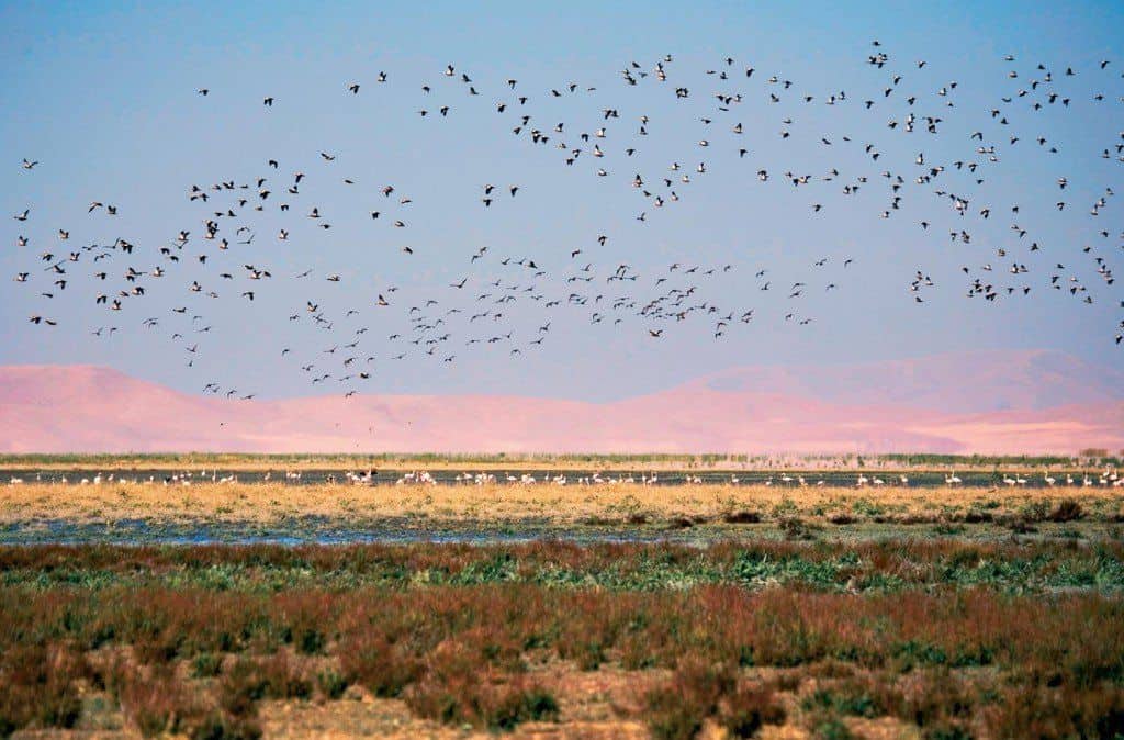 Konya Akşehir Gölü
