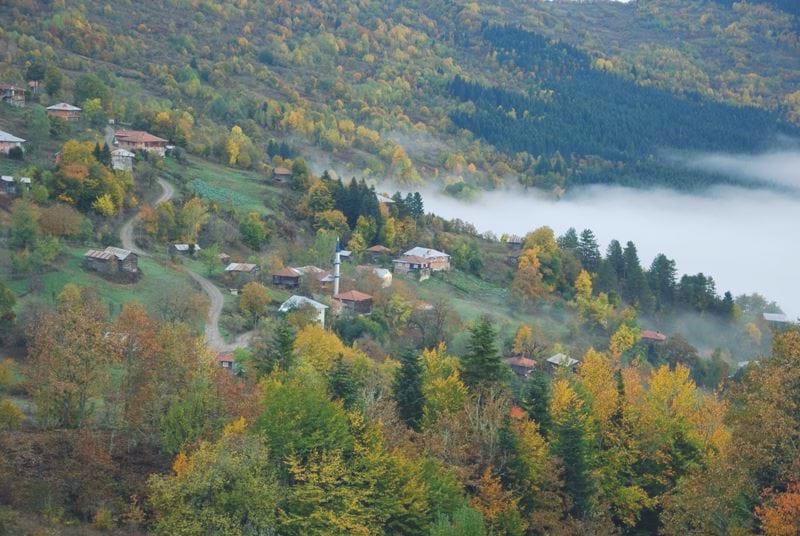 Küre Dağları Milli Parkı – Kastamonu