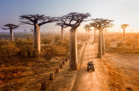 Madagaskar Rehberi