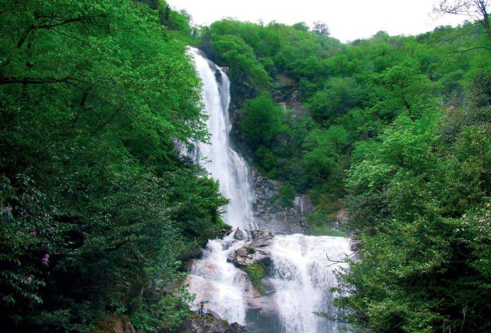 Arhavi Mençuna Şelalesi 2