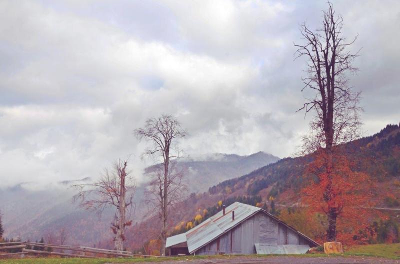 Odayeri Yaylası – Düzce