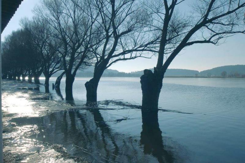 Ödemiş Gölcük Gölü – İzmir