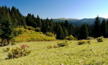 ordunun-yaylalari-nelerdir