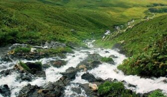 otingo-kaplicasi-artvin