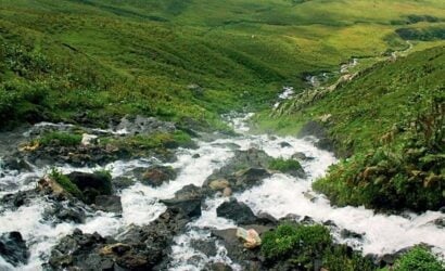 otingo-kaplicasi-artvin