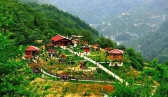 rize-arapduzu-mesire-alani-nerededir