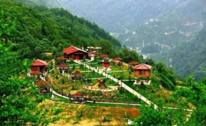 rize-arapduzu-mesire-alani-nerededir