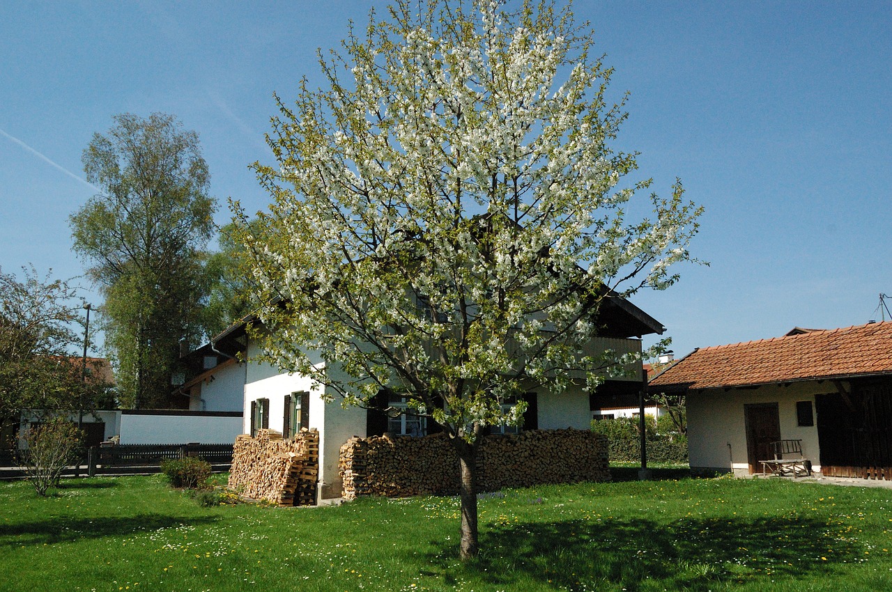 Sapanca Narlı Bahçe Bungalov