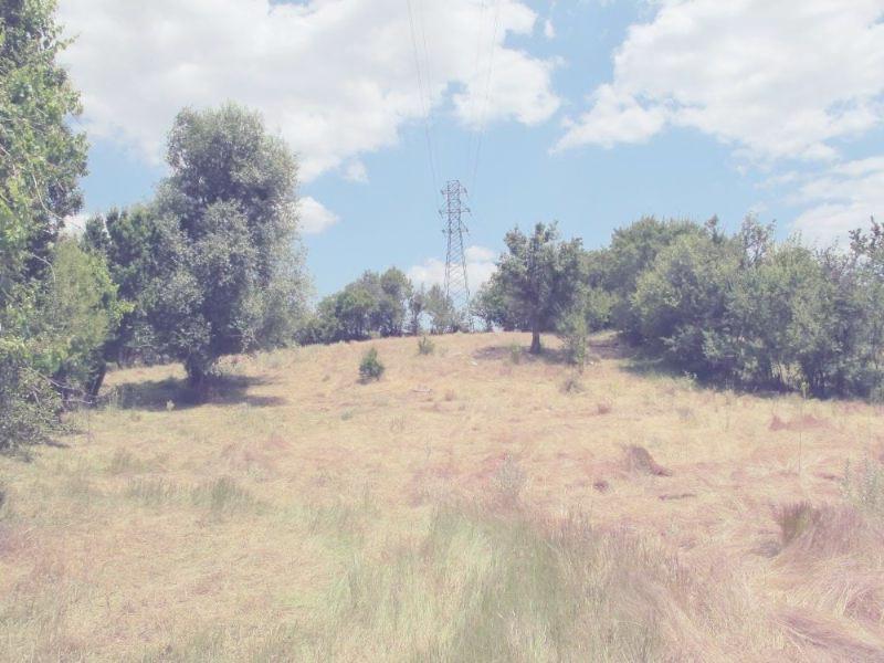 Sebastapolis Antik Kenti – Denizli