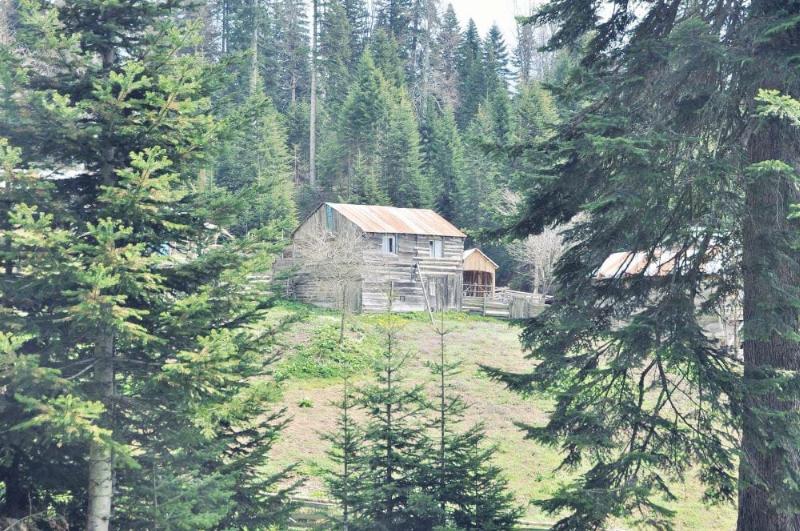Sinekli Yaylası – Düzce