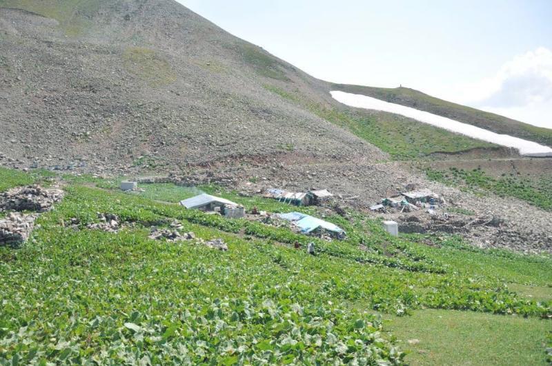 Tahpur Yaylası – Rize