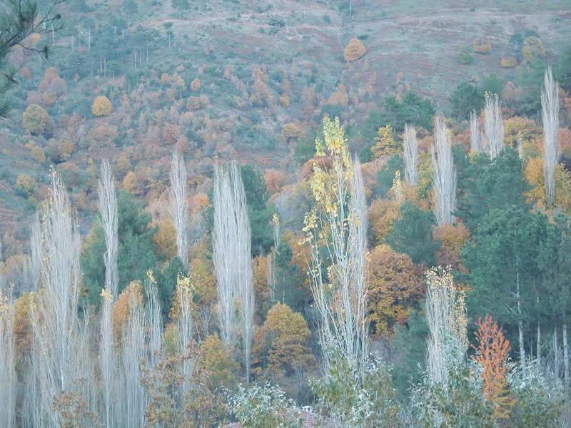 Tasdelen Yaylası – Denizli