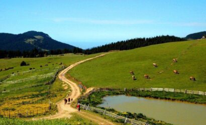 tokat-topcam-yaylasi-resimleri